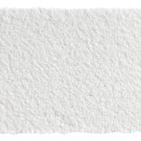 Bold Indulgence carpet - 031